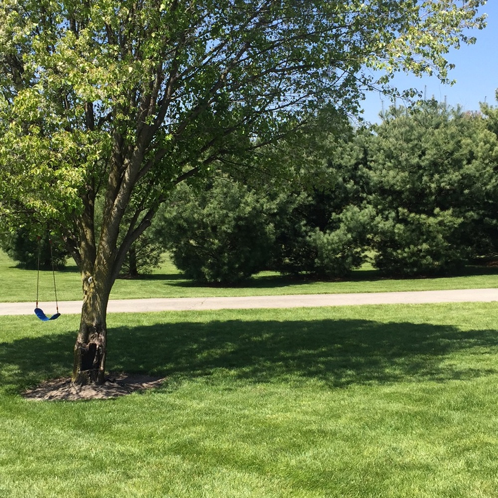 Meet your Posher, Abbey